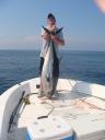 Tuna