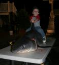 09kyshark.jpg