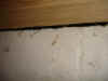 mouse entry point