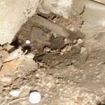 Thumbnail photo of: Skunk hole under a porch