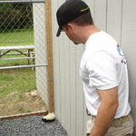 Thumbnail photo of: Juvenile skunk in my dog kennel