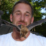 Thumbnail photo of: Bat Removed from living room