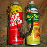Thumbnail photo of: Bat killed with pesticides