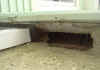 rat entry point