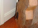 Living room bat