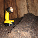 Thumbnail photo of: Guano in an attic